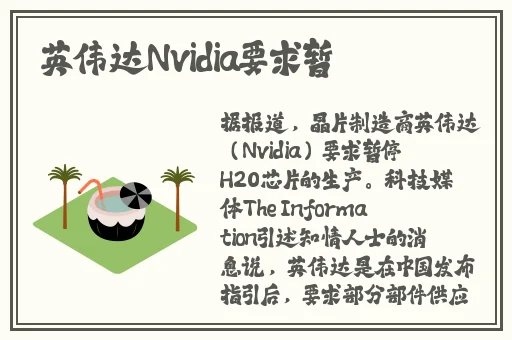 麻豆视视频免费在线观看